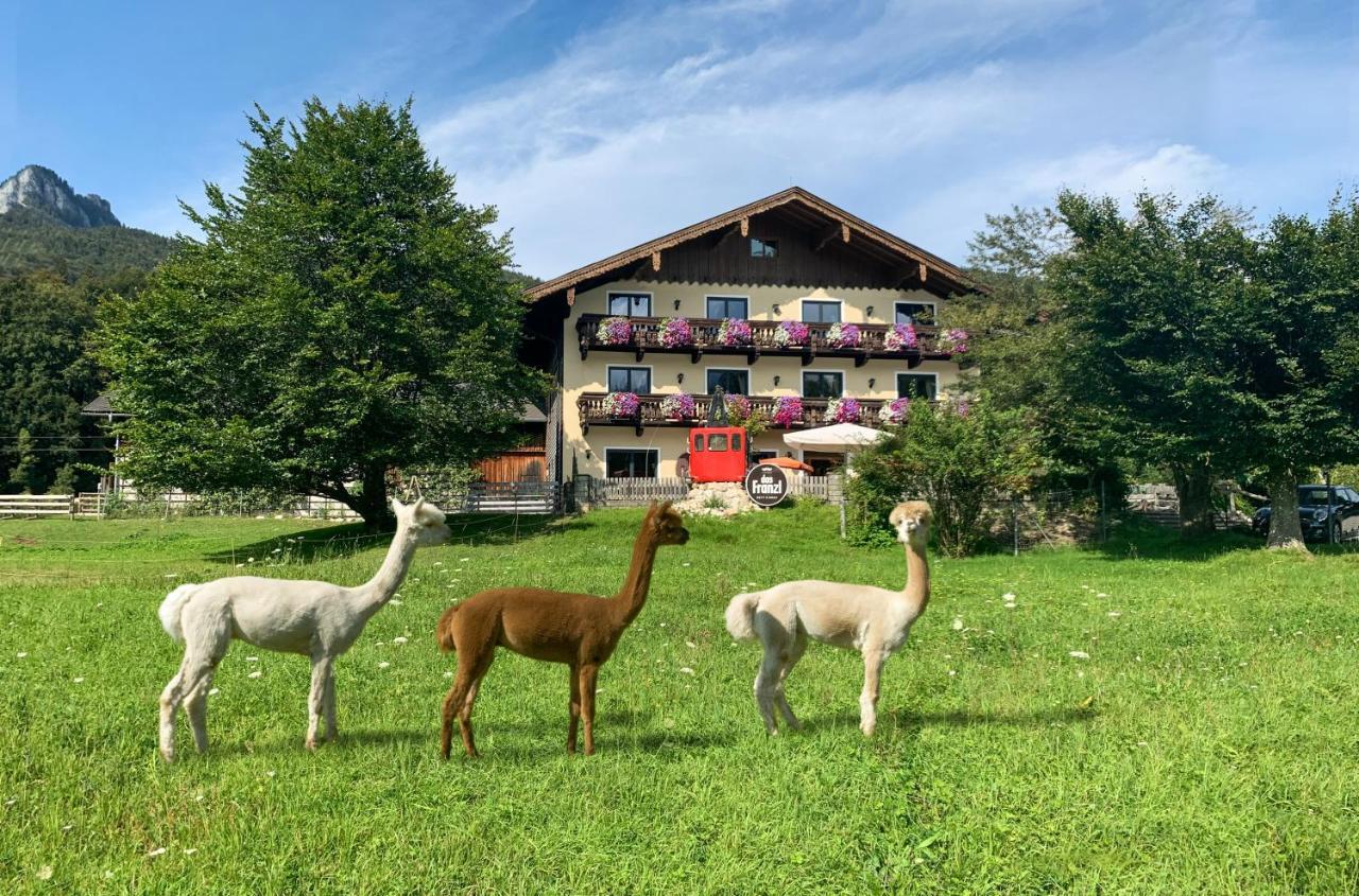 Das Franzl - Bett & Brot Sankt Wolfgang im Salzkammergut Экстерьер фото