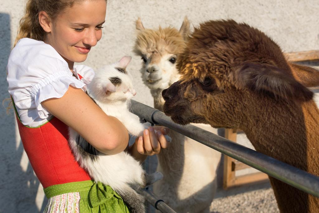 Das Franzl - Bett & Brot Sankt Wolfgang im Salzkammergut Экстерьер фото